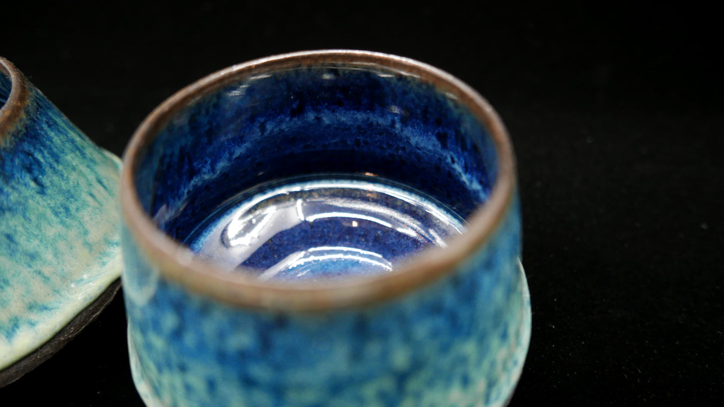 Stemless Goblet (Pair) - Black Sea
